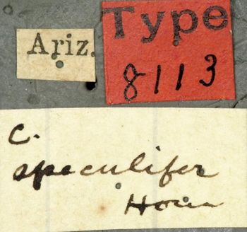 Media type: image;   Entomology 8113 Aspect: labels